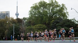 Ideal conditions expected for TCS Toronto Waterfront Marathon [upl. by Lucinda]