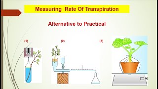 Potometer Measuring Transpiration InvestigationsAlternative to Practical IGCSE 0610O level 5090 [upl. by Moyra]