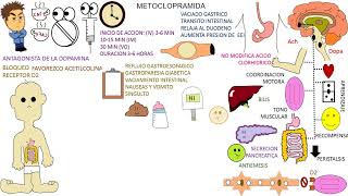 Farmacología METOCLOPRAMIDA [upl. by Wilmer94]