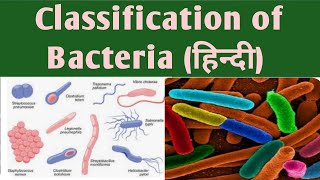 Classification of bacteriaHindiBPharm 3 sem classification bacteria classificationofbacteria [upl. by Shiau]