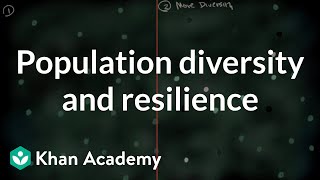 Population diversity and resilience  Natural selection  AP Biology  Khan Academy [upl. by Vicki51]