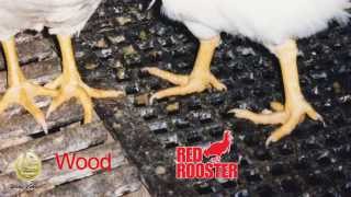 2 x 4 Poultry Plastic Flooring that Optimizes Bird Performance [upl. by Sparkie]