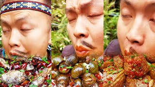 【ASMR MUKBANG】stirfried miscellaneous fish tofu braised lion head stirfried escargot [upl. by Huberty]