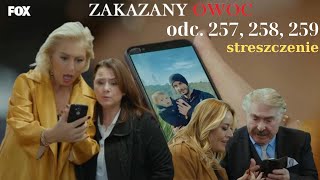 Zakazany owoc odcinek 257 258 259 – Streszczenie szczegółowe [upl. by Enywtna549]