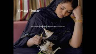 Tuareg music Tarhanam [upl. by Yrrad]