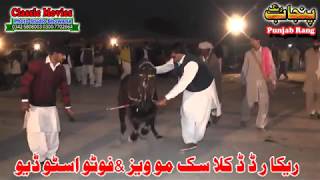 Horse Dance Jashne Bodla Bahar Day 2nd 2017 Abadi Shahbaz Nagar Pakpattan 29 [upl. by Naginnarb]