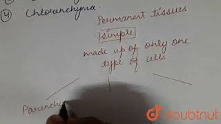 Which of the following tissues has lignified cells   CLASS 9  PRACTICALS  BIOLOGY  Doubtnut [upl. by Ahsotal]