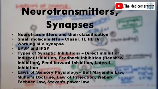 Neurotransmitters Synapse Laws of Sensory Physiology [upl. by Atinar264]