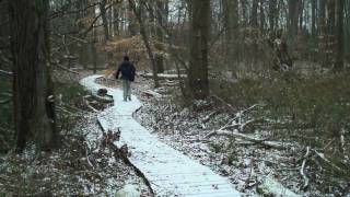 Helyar Woods at Rutgers Gardens  njHikingcom [upl. by Akeemat]