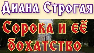 Диана Строгая  сорока и ее бохатство  Сплетница [upl. by Ariela]