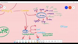 Hepatology revesion 2 liver cirrhosis Hepatic encephalopathyALFHCC and portal HTN ASM Minds [upl. by Sedlik]