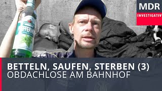 Betteln Saufen Sterben 3 – Obdachlose am Bahnhof  Doku [upl. by Fabe208]