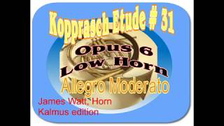 2017 October Kopprasch 31 Allegro Moderato [upl. by Osmund]