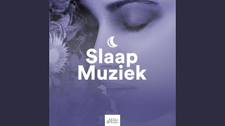 Rechtenvrije Muziek [upl. by Koosis]