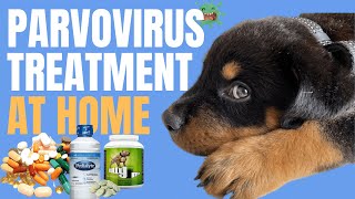 Canine Parvovirus in Dogs  Parvo Treatment at Home [upl. by Nnayllas268]