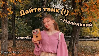 Дайте танк   Маленький 🍁kalimba cover [upl. by Geminius349]