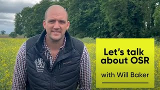 Lets talk about oilseed rape with Will Baker [upl. by Cuttie813]