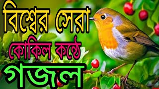 খুবই দুঃখের প্রিয় নবীজির প্রেমের মন মাতানো সেরা মায়াবী কন্ঠের তিনটি গজল New Islamic Best Songs [upl. by Mihsah986]