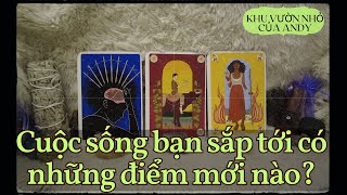 Cuộc sống bạn sắp tới có những điểm gì mới Tình yêuCông việcChung  Chọn 1 tụ bài  Xem Tarot [upl. by Starling]