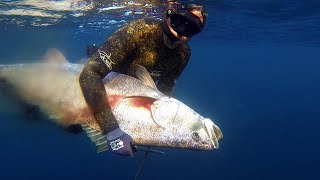 Spearfishing for Mulloway  Jew fish on offshore reefs and pinnacles [upl. by Endres]