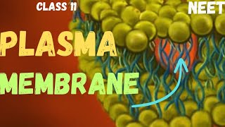 NEET  CELL  THE UNIT OF LIFE  PLASMA MEMBRANE  CLASS 11 neet ncert youtube youtubeshorts [upl. by Llennaj]