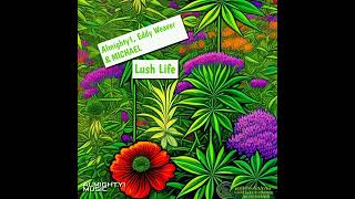 Lush Life Radio Edit [upl. by Carney803]