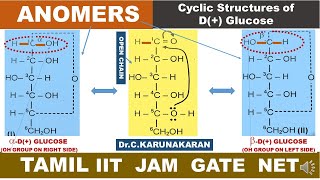 TAMIL ANOMERS EPIMERS STEREOISOMERS DIASTEREOMERS CYCLIC STRUCTURE DGLUCOSE HAWORTH STRUCTURE [upl. by Ridinger]