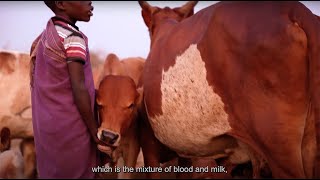 A Night in a Karamoja Kraal with Nomadic Cattle Keepers [upl. by Austreng]