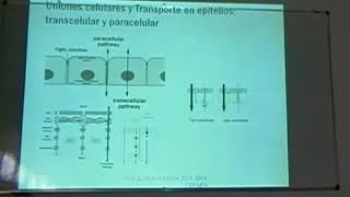 Homeostasis Tisular [upl. by Asilec]