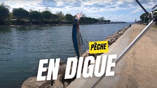 Pêche en digue au crabe et au jumbo pêche fishing surfcasting [upl. by Benis391]