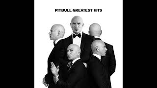 Pitbull  Celebrate Official Audio [upl. by Aminta]