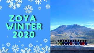 Zoya HolidayWinter 2020 Intriguing Collection  Review Swatches Comparisons [upl. by Persas75]