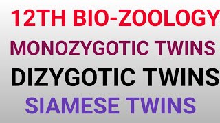 Monozygotic twinsZygotic twinsSiamese twins12th BioZoologyImportant 5Marks question [upl. by Relluf]