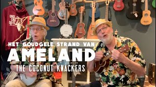 Het goudgele strand van Ameland  ukulele cover coconut knackers  joek banjolele amp Mahimahi sopraan [upl. by Kline494]