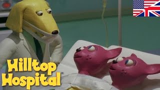 Hilltop Hospital  Siamese Twins S04E11 HD  Cartoon for kids [upl. by Mufi833]