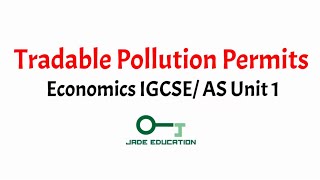 Tradable Pollution Permits  Economics AS amp IGCSE Answer Tips [upl. by Port865]