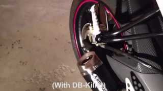 Yamaha R125 Biggest Exhaust Collection  Arrow Thunder Akrapovic Leovince [upl. by Heron]