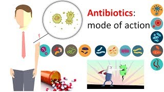 Microbiology  How does antibiotics work [upl. by Lore]