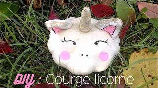 Déco originale DIY Licorne [upl. by Nath]