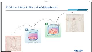 Unleashing the Potential of 3D Cultured Spheroids in Preclinical Research [upl. by Lladnek]