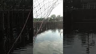 Crabbing and Catching A Blue Crab on a String Line fishing crabbing food [upl. by Clifford]