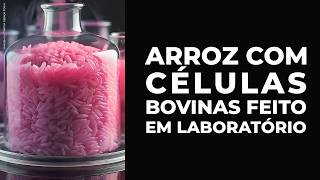 ARROZ com CÉLULA BOVINA feito em laboratório promete ser fonte de proteína mais barata e sustentável [upl. by Shirleen]