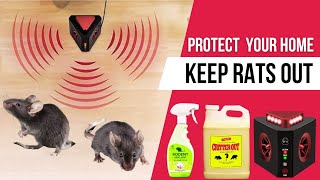 Best Rat Deterrents That Actually Work  Successful Way to Stop Rats From Getting Inside [upl. by Bill]