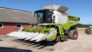 Køb Mejetærsker Claas Lexion770TT på Klaravik [upl. by Imef]