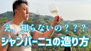 シャンパーニュの作り方編。初心者必見！ゆっくり説明。ワインのうんちく。【簡単ワイン塾＃35】 [upl. by Adnilre391]