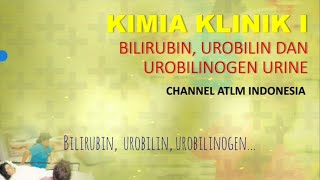 4 Kimia Urine Bilirubin Urobilin Urobilinogen Keton bagi ATLM [upl. by Ylim]