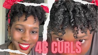 HOW TO DEFINE 4C CURLS ❤️❤️❤️  TIFFANICVD [upl. by Randell13]