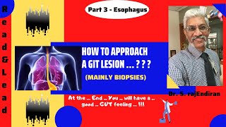 How to approach a GIT lesion   Part 3 [upl. by Bird290]