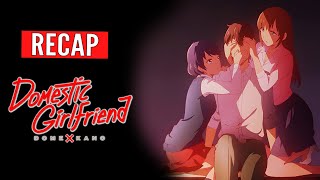 Domestic Girlfriend  ANIME RECAP  Domestic na Kanojo [upl. by Ysle687]