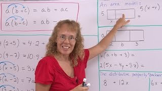 The distributive property  many examples and the area model  6th 7th grade [upl. by Allison]